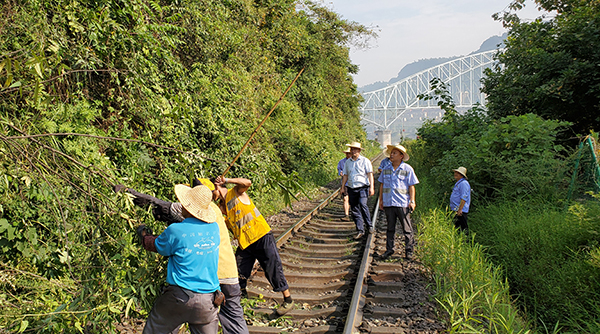 5d5f32e5c1896.jpg 20190822145430.jpg