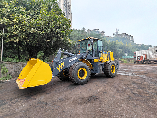 61c568de41298.jpg 1640230705070.jpg